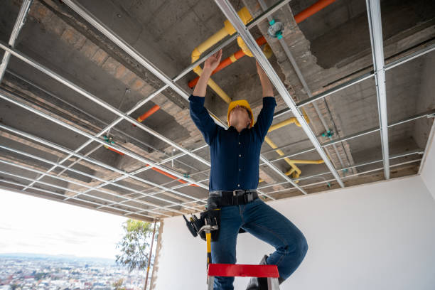Best Plumbing Inspection Services  in Cross Lanes, WV