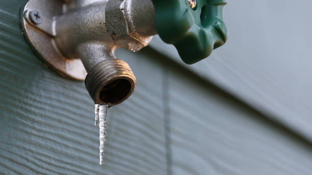 Best Leak Detection Services  in Cross Lanes, WV